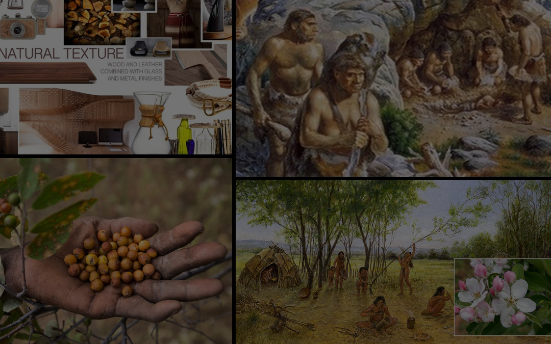 Musings on Nature, Evolution, and Industrial Design Thinking