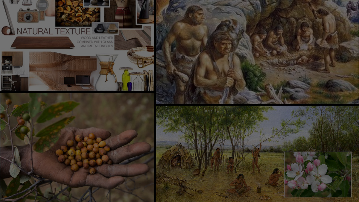 Musings on Nature, Evolution, and Industrial Design Thinking