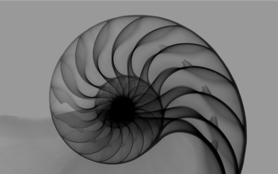 From Functional to Exceptional : 7 Design Principles To Get You There